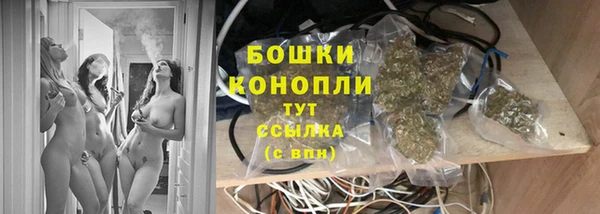 mdpv Богданович