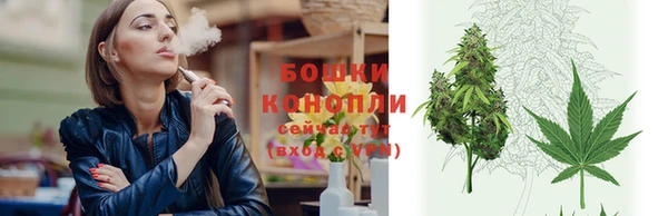 mdpv Богданович