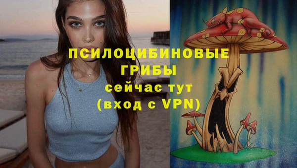 mdpv Богданович