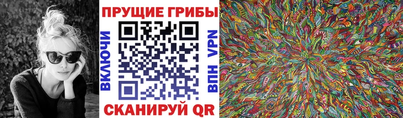 Галлюциногенные грибы Psilocybine cubensis Щучье